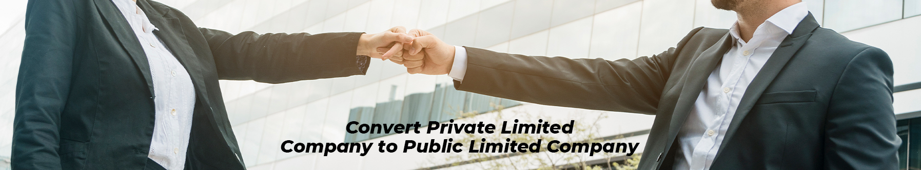 Private-Limited-Company-to-Public-Limited-Company